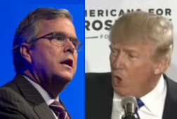 bush-trump